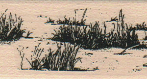 Grassy Dune 1 1/4 x 2 1/2-0