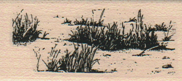 Grassy Dune 1 1/4 x 2 1/2