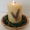 Rosemary Plant 2 x 2-38883