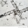 Star Sliding 3/4 x 3/4-60384