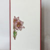 Western Lily 2 1/4 x 3-41930