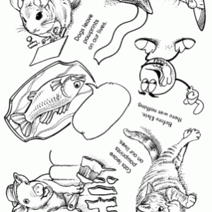 Plate 445-0