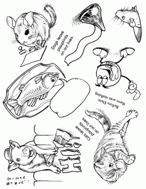 Plate 445