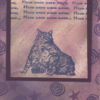 Fat Cat 2 1/2 x 2-35224