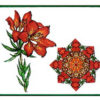 Western Lily 2 1/4 x 3-23532