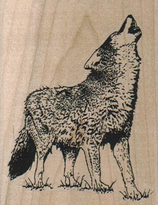 Howling Wolf 2 1/4 x 2 3/4