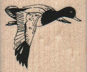 Flying Duck 2 x 1 3/4