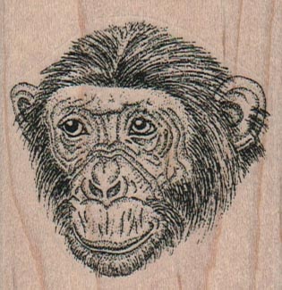 Chimpanzee Face 2 1/4 x 2 1/4