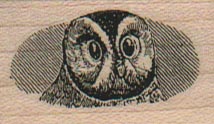 Owl Face 1 x 1 1/2