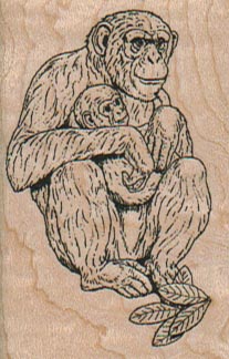 Chimp & Baby 1 1/2 x 2 1/4