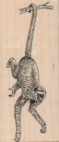 Monkey Hanging By Tail 1 1/2 x 3 1/2