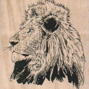 Lion Head 3 1/4 x 3 1/2-0