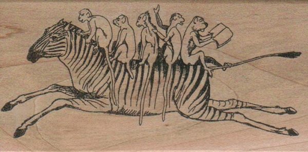 Monkeys On Zebra 2 1/2 x 4 3/4-0