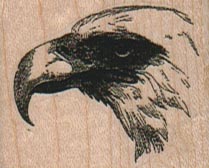 Eagle Beak 1 1/2 x 1 1/4