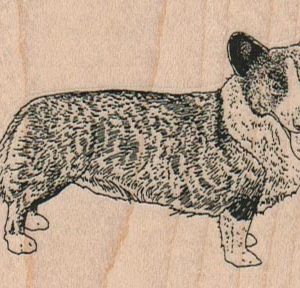 Corgi 3 x 2-0