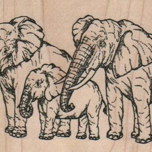 Elephant Family 4 x 2 3/4-0