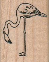 Flamingo Side 1 1/4 x 1 1/2