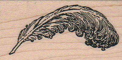 Feather Plume 1 1/2 x 2 3/4