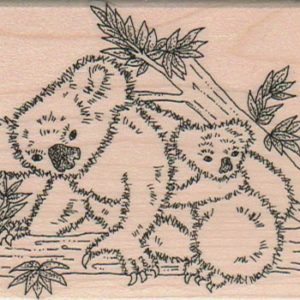 Koalas Up A Tree 3 3/4 x 2 1/2-0