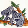 Koalas Up A Tree 3 3/4 x 2 1/2-24908