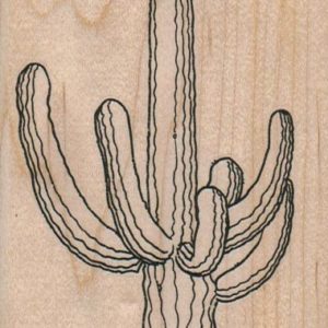 Saguero Cactus 2 1/2 x 5 1/2-0