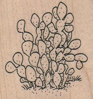 Prickly Pear Cactus 2 1/4 x 2 1/4