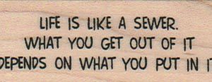 Life Is Like A Sewer 1 x 2 1/4-0