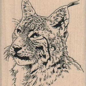 Lynx 2 3/4 x 3 1/2-0