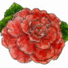 Camillia Reverse 3 1/4 x 2 1/2-24903