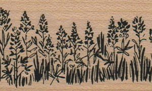Field of Wildflowers 1 1/2 x 4-0