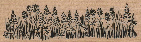 Field of Wildflowers 1 1/2 x 4