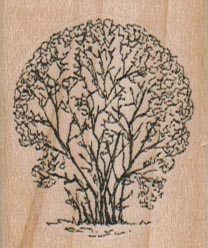 Medium Tree/Leaves 1 1/2 x  1 3/4