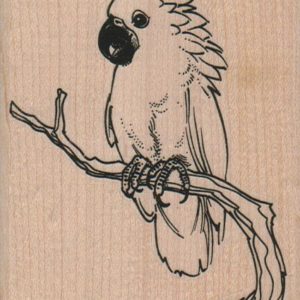 Parrot On Branch 3 x 3 1/2-0