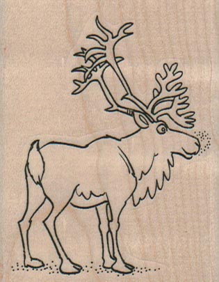 Caribou 2 1/4 x 2 3/4