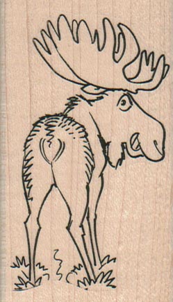 Moose RearView 1 3/4 x 3