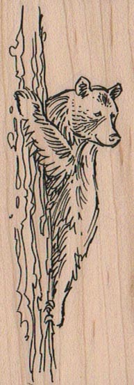 Bear Climbing Tree 1 1/2 x 3 3/4