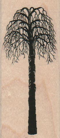 Tall Tree Bare 1 1/2 x 3 1/4