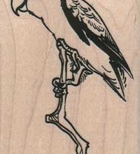 Parrot On Branch 2 x 3-0
