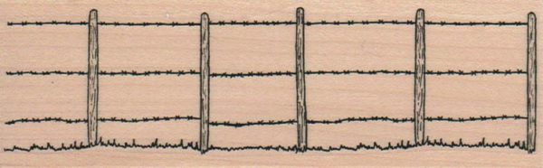 Barb Wire Fence 1 3/4 x 5-0