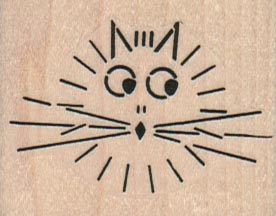 Surprised Cat 2 x 1 1/2