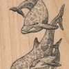 Dolphin Trio 2 3/4 x 3 3/4-0