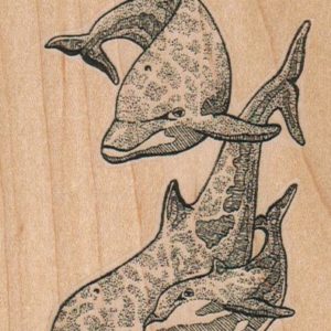 Dolphin Trio 2 3/4 x 3 3/4-0