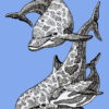 Dolphin Trio 2 3/4 x 3 3/4-24906
