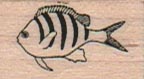 Striped Fish 3/4 x 1