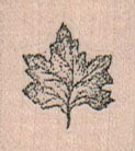 Maple Leaf 1 x 1