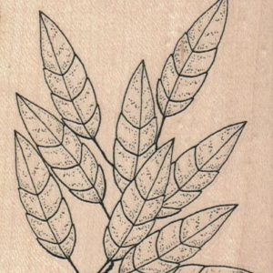 Long Leaves With Extra Leaf 3 x 3 1/2-0