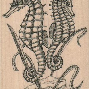 Seahorses Facing Away 2 3/4 x 3 3/4-0