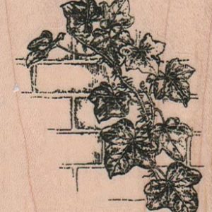 Ivy On Wall 2 1/4 x 2 1/2-0