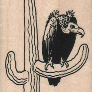 Vulture On Cactus 2 1/4 x 4 1/4-0