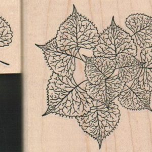 Veined Leaves (Set of 2) 2 3/4 x 2 1/2 & 1 x 1 1/4-0